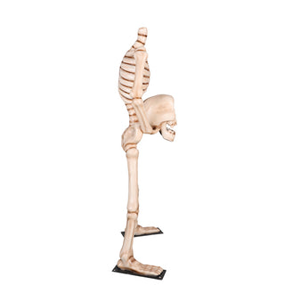 Skeleton Holding Head 7ft