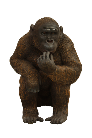 Eating Chimpanzee