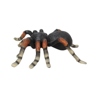 Web Spinner