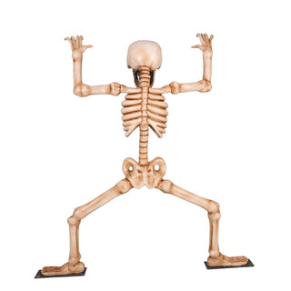 Skeleton Squating 7ft