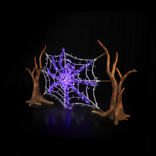 Spider Web And Spider (purple)