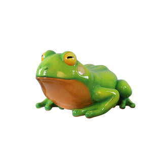 Oranged-Eyed Tree Frog
