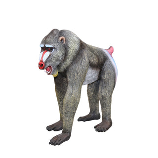 Baboon