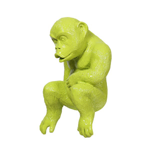 Young Gorilla