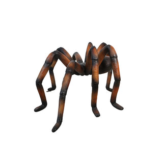 Copper Web Spider
