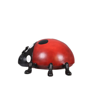 Lady bug