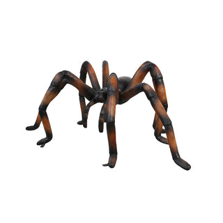 Copper Web Spider