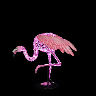 Flamingio Standing On One Leg