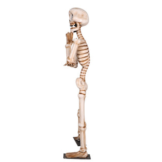 Skeleton Wondering 7ft