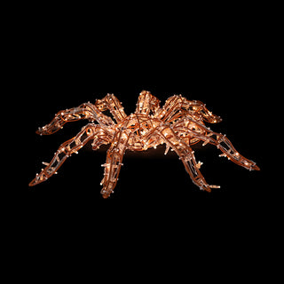 Spider (brown)