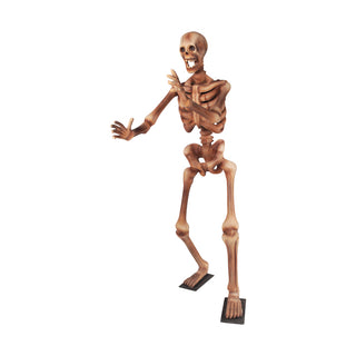 Skeleton 180 "Arms out"