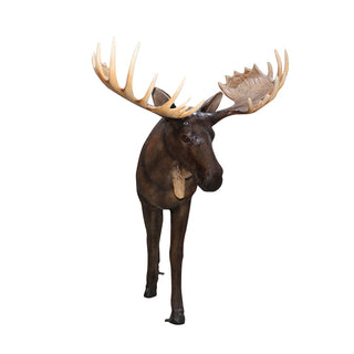 Elk