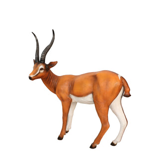 Gazelle