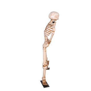 Skeleton Hokey Pokey 7ft
