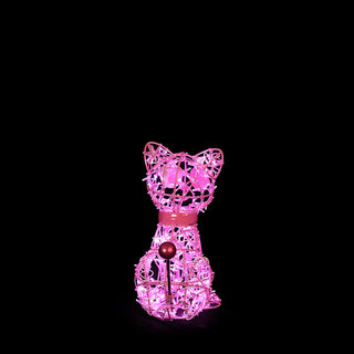 Voodoo Cat