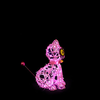 Voodoo Cat