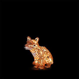 Fox Small Sitting