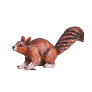 SQUIRREL 4 (NATURAL COLOR)