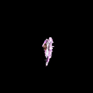 Bat (pink)