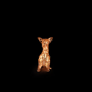 Deer Fawn laying
