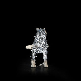 Wolf Lucky