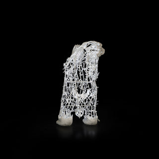 Polar Bear Baby, Standing