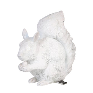 SQUIRREL (ALL WHITE)