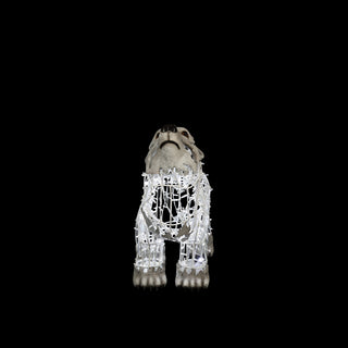 Polar Bear Baby, Walking